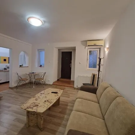 Ambient Cismigiu Apartment