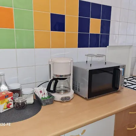Ambient Cismigiu Apartment *