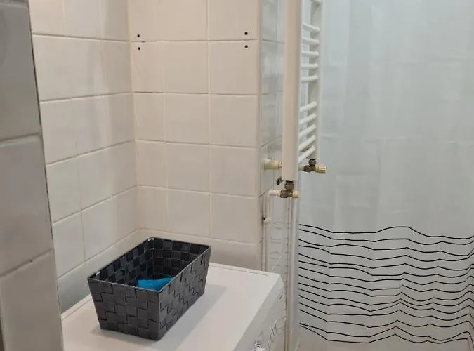 Ambient Cismigiu Apartman